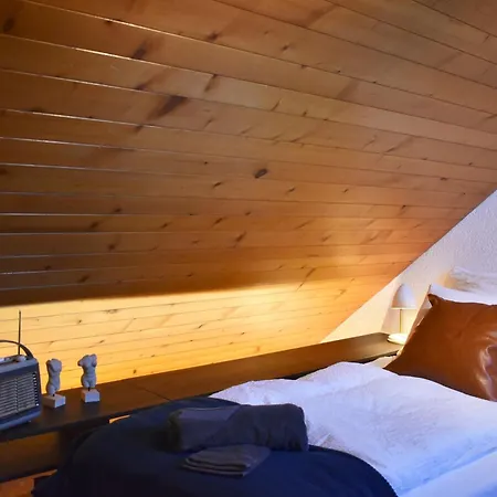 The Building 6 Loft Daire Spiez